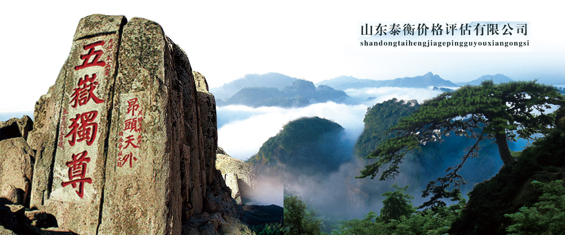 山东泰衡价格评估有限公司